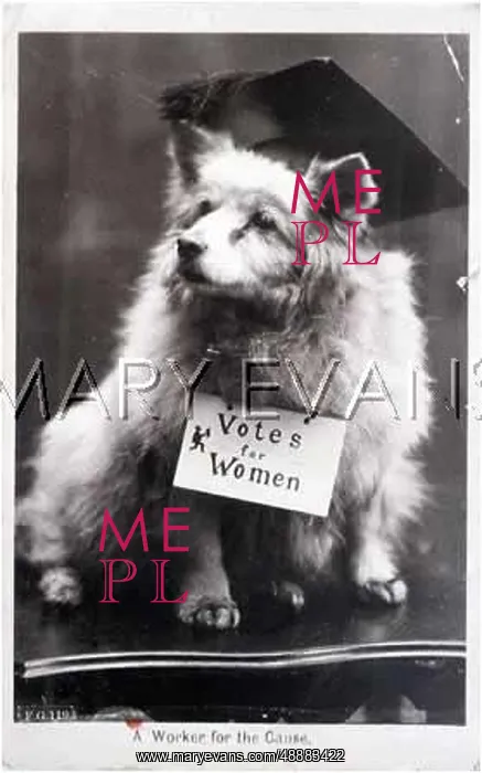 : VOTES FOR WOMEN DOG : VOTES FOR WOMEN DOG