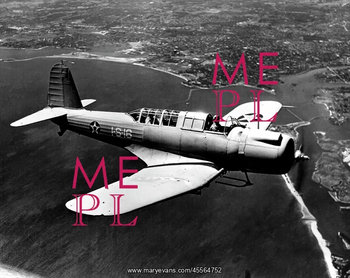: Vought SB2U-1 Vindicator -like the Douglas TBD Devastat : Vought SB2U-1 Vindicator -like the Douglas TBD Devastat