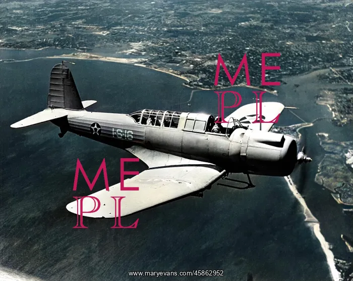 : Vought SB2U-1 Vindicator -like the Douglas TBD Devastat? : Vought SB2U-1 Vindicator -like the Douglas TBD Devastat?