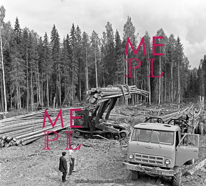 : Vukhtymsk Lumber Yard : Vukhtymsk Lumber Yard