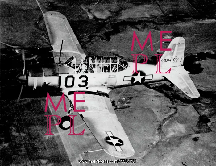 : Vultee BT-13 -dubbed the Vibrator by those that flew : Vultee BT-13 -dubbed the Vibrator by those that flew