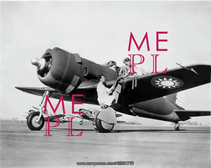 : Vultee Model 48 -rejected by the British the type ultim : Vultee Model 48 -rejected by the British the type ultim