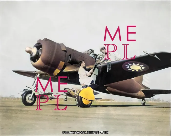 : Vultee Model 48 -rejected by the British the type ultim? : Vultee Model 48 -rejected by the British the type ultim?