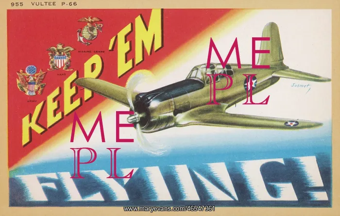 : Vultee P.66 Vanguard plane : Vultee P.66 Vanguard plane
