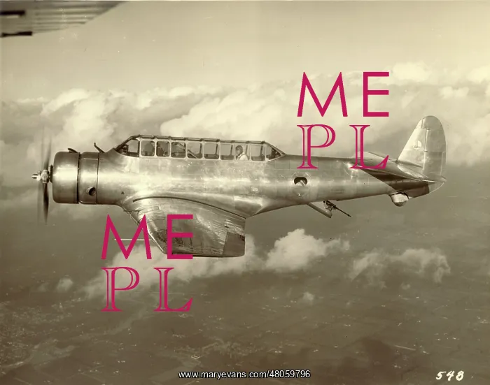  : Vultee V-11
