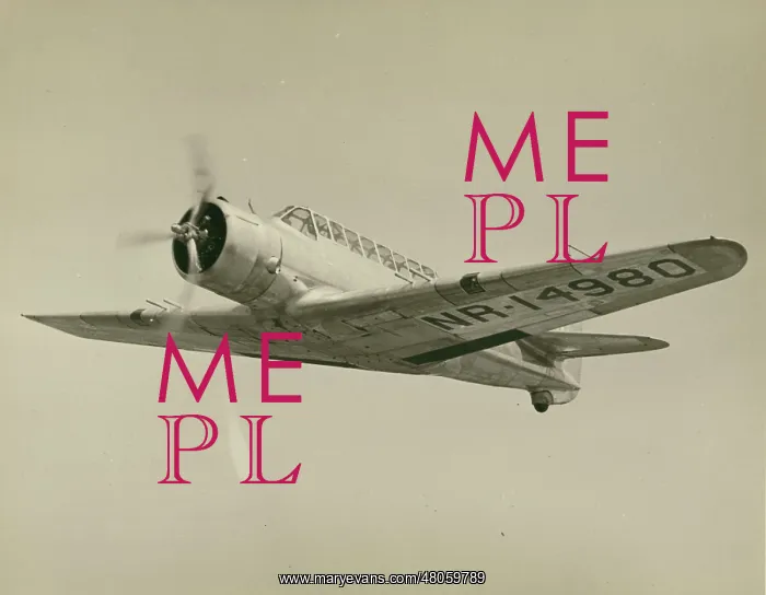 : Vultee V-11G NR14980 : Vultee V-11G NR14980