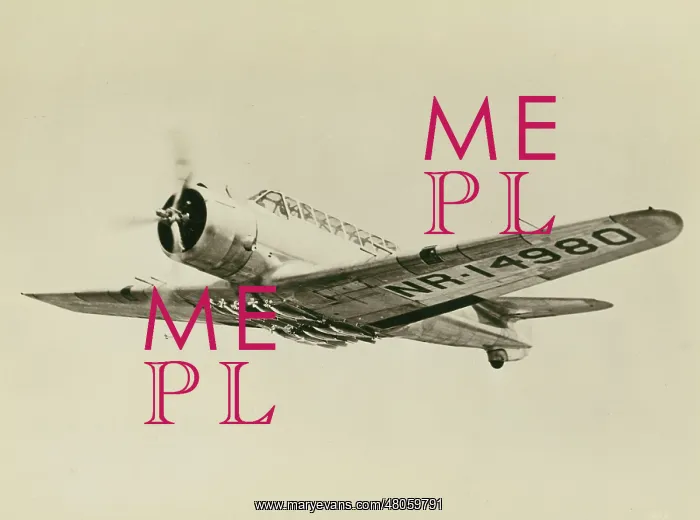 : Vultee V-11G NR14980 : Vultee V-11G NR14980