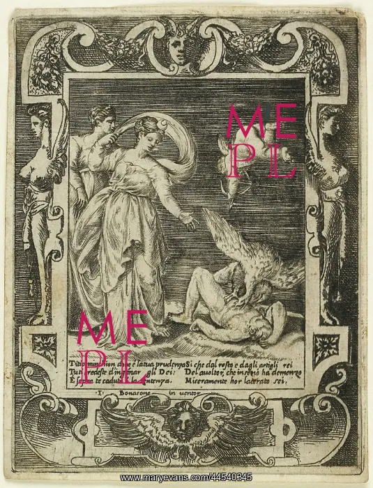 : A vulture eating the liver of Tityus : A vulture eating the liver of Tityus
