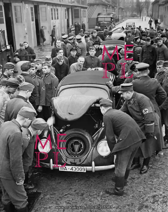  : VW Beetles