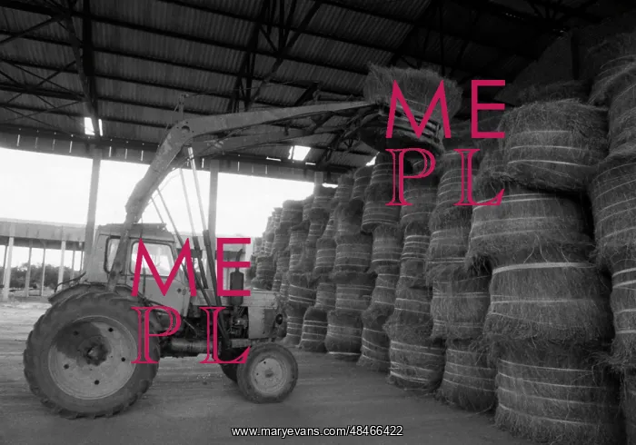 : Vysokoye Flax Processing Plant : Vysokoye Flax Processing Plant