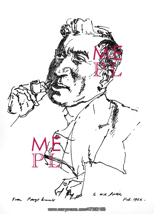 : W H DAVIES (EVANS) : W H DAVIES (EVANS)