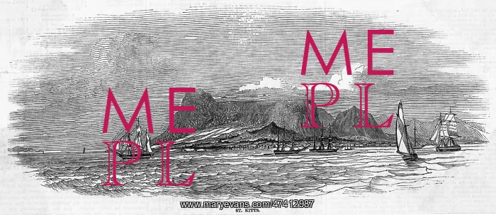 : W INDIES ST KITTS : W INDIES ST KITTS