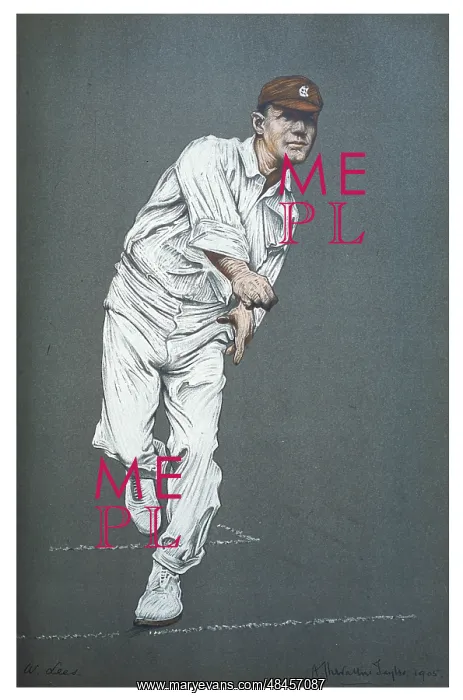 : W LEES - CRICKETER : W LEES - CRICKETER