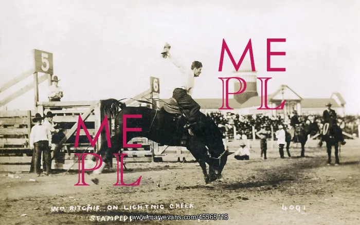 : W Ritchie on Lightning Creek during the Calgary Stampede : W Ritchie on Lightning Creek during the Calgary Stampede