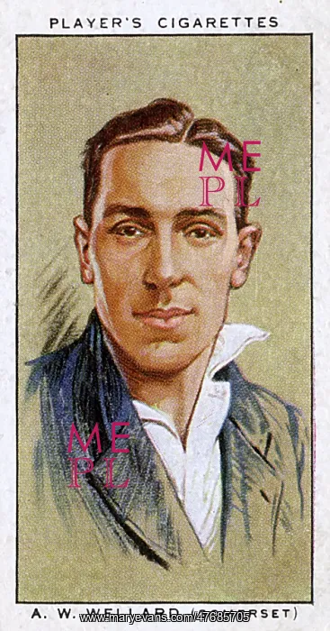  : A W Wellard, Somerset County cricketer