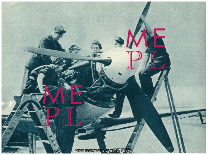 : W.A.A.F. Flight Mechanics : W.A.A.F. Flight Mechanics