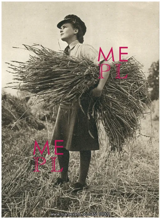 : W.A.A.F. Harvest Time : W.A.A.F. Harvest Time