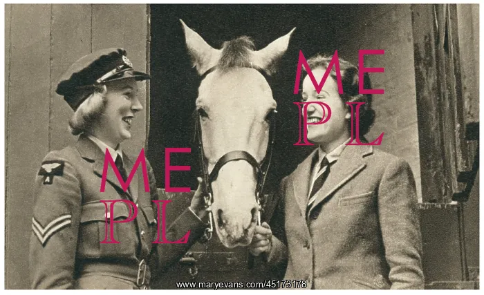 : W.A.A.F. Ladies With A Horse : W.A.A.F. Ladies With A Horse