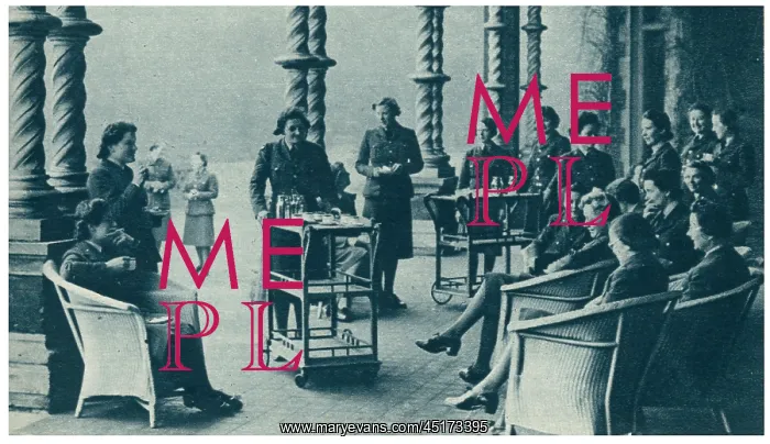 : W.A.A.F. Tea On The Terrace : W.A.A.F. Tea On The Terrace