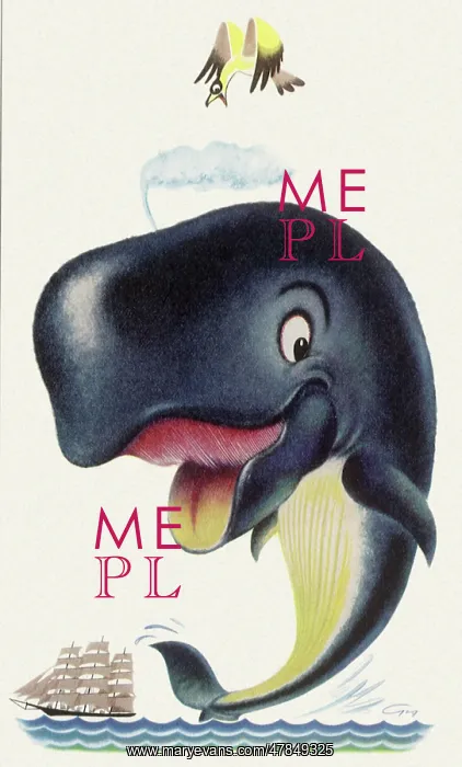  : Wacky Whale