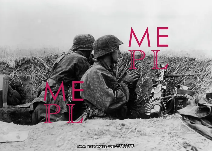 : Waffen-SS in action - Eastern Front, 1941 : Waffen-SS in action - Eastern Front, 1941