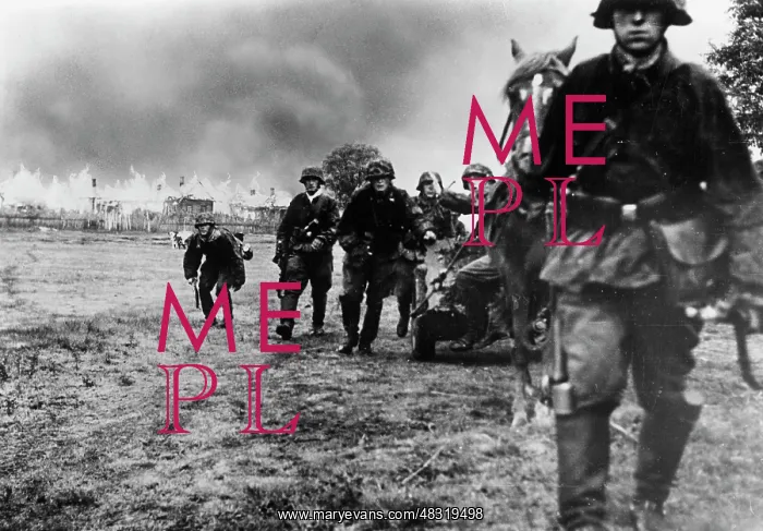 : Waffen-SS in action - Eastern Front, 1941 : Waffen-SS in action - Eastern Front, 1941
