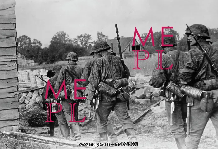 : Waffen-SS in action - Eastern Front, 1941 : Waffen-SS in action - Eastern Front, 1941