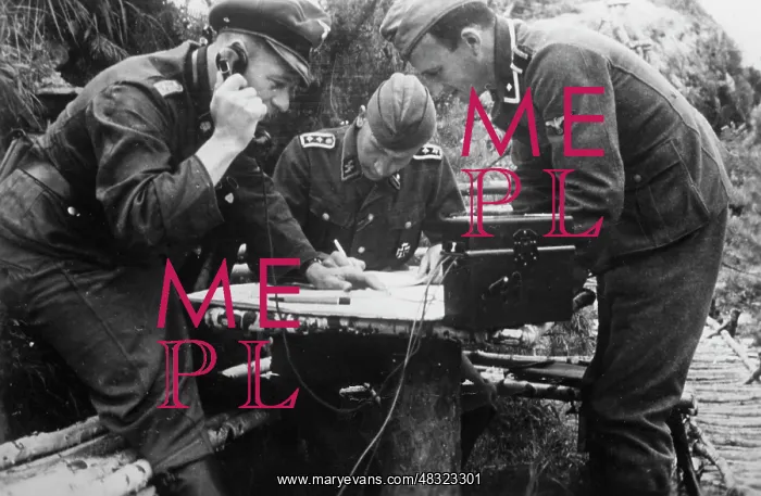 : Waffen-SS in action - Eastern Front, 1942 : Waffen-SS in action - Eastern Front, 1942