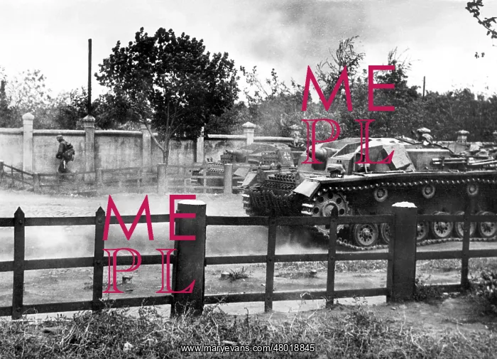 : Waffen SS during combat on the Eastern front, 1941 : Waffen SS during combat on the Eastern front, 1941