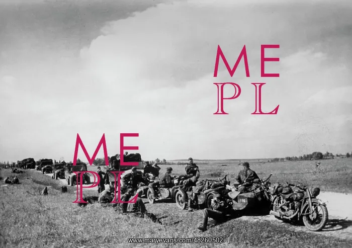 : Waffen-SS - Eastern Front, 1941 : Waffen-SS - Eastern Front, 1941