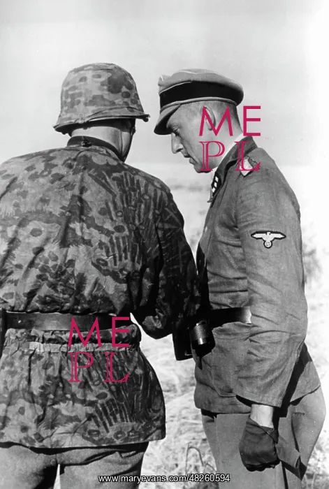 : Waffen-SS - Eastern Front, 1941 : Waffen-SS - Eastern Front, 1941