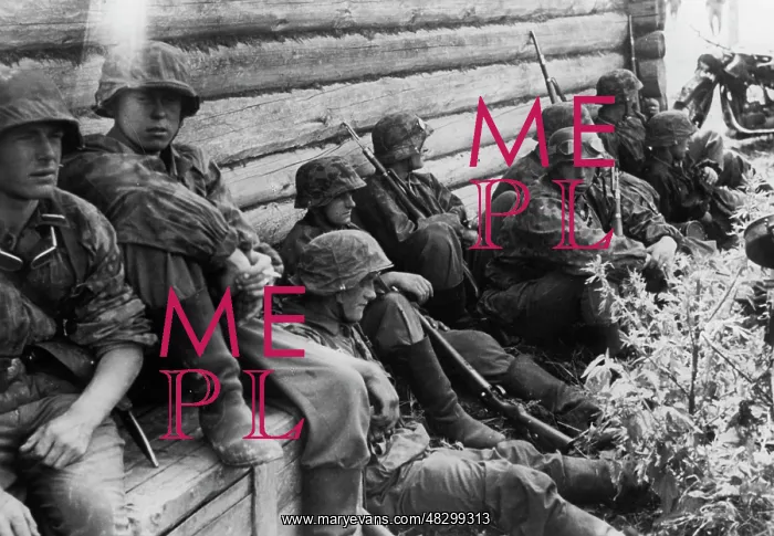 : Waffen-SS - Eastern Front, 1941 : Waffen-SS - Eastern Front, 1941