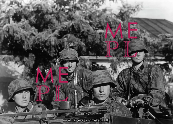 : Waffen-SS - Eastern Front, 1941 : Waffen-SS - Eastern Front, 1941