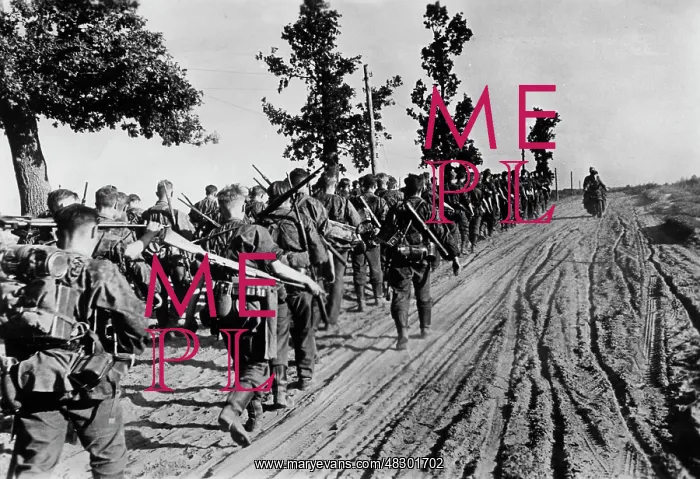 : Waffen-SS - Eastern Front, 1941 : Waffen-SS - Eastern Front, 1941