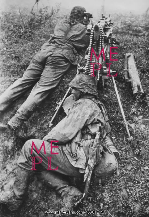 : Waffen-SS - Eastern Front, 1941 : Waffen-SS - Eastern Front, 1941