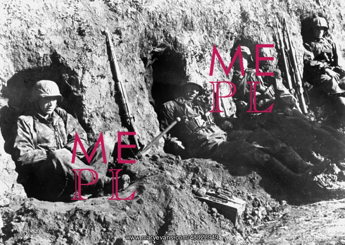 : Waffen-SS during the Kursk Offensive, 1943 : Waffen-SS during the Kursk Offensive, 1943