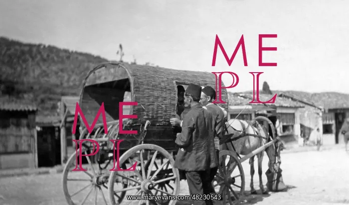: Wagon in Anatolia, 1926 : Wagon in Anatolia, 1926