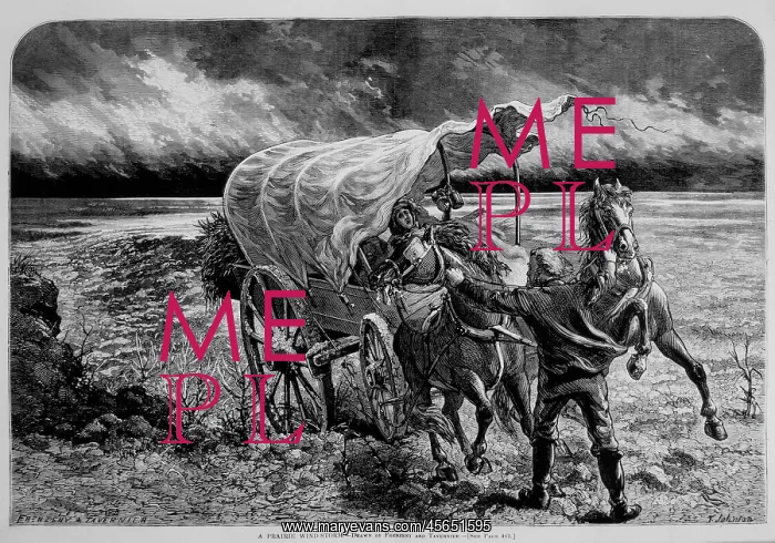 : Wagon - Prairie - Windstorm - Pioneer : Wagon - Prairie - Windstorm - Pioneer