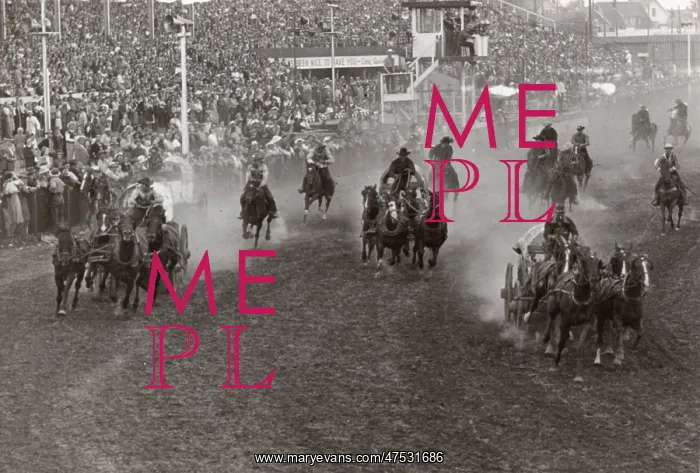  : Wagon Raceing at a rodeo