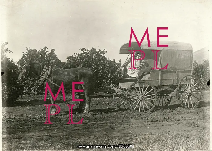  : Wagon of Russ Van Vleet, a mobile butcher