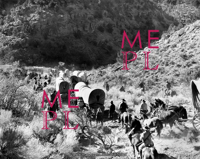 : wagon train - covered wagons - Brigham Young : wagon train - covered wagons - Brigham Young