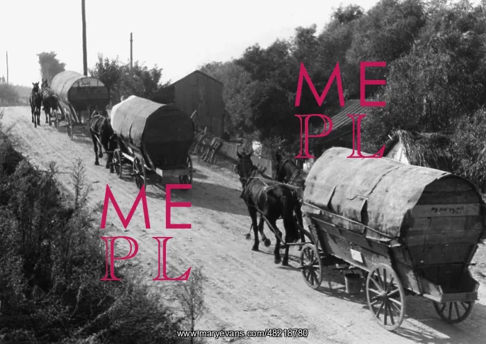 : Wagon trek of ethnic Germans from Bessarabia, 1940 : Wagon trek of ethnic Germans from Bessarabia, 1940