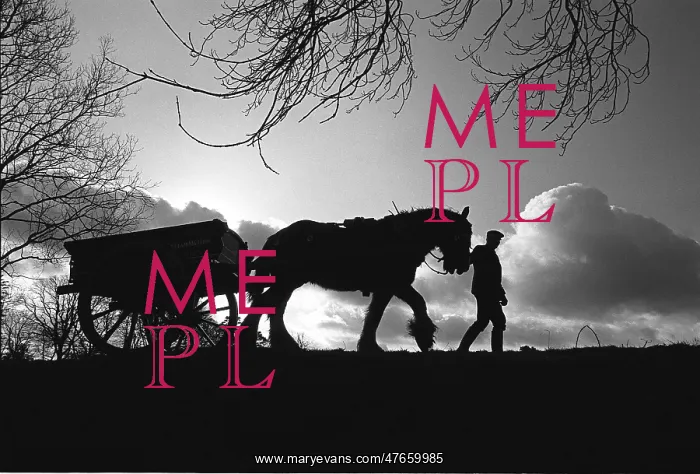 : Wagoner, Shropshire, silhouette - 1 : Wagoner, Shropshire, silhouette - 1