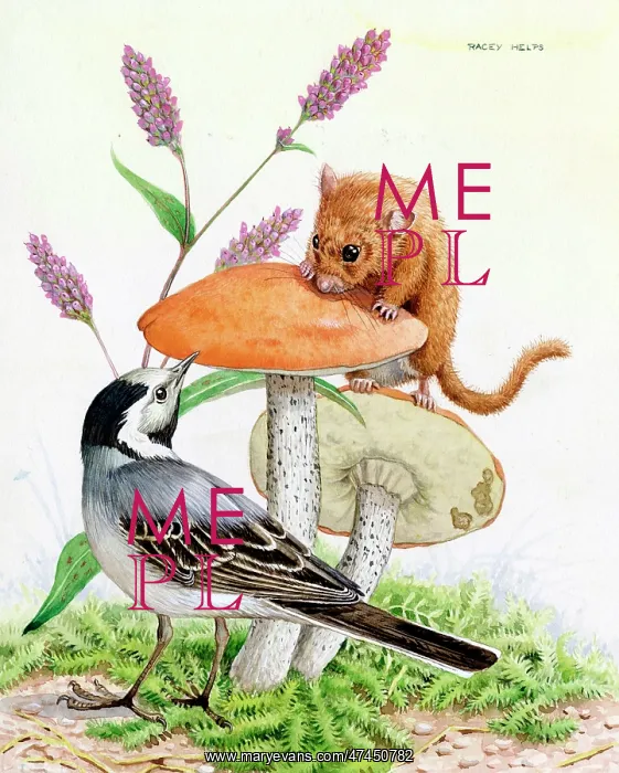  : The Wagtail and the Dormouse