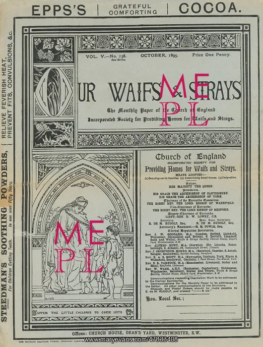 : Our Waifs and Strays Magazine : Our Waifs and Strays Magazine