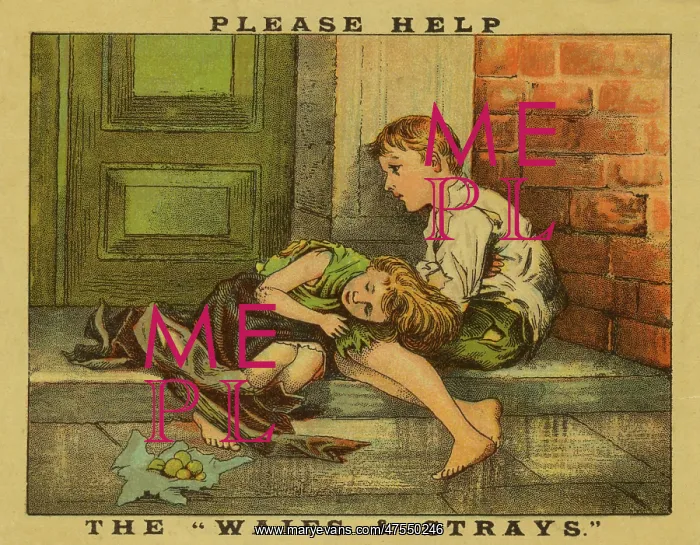 : Waifs and Strays Society Advertisement : Waifs and Strays Society Advertisement