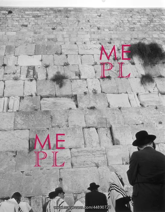 : THE WAILING WALL : THE WAILING WALL