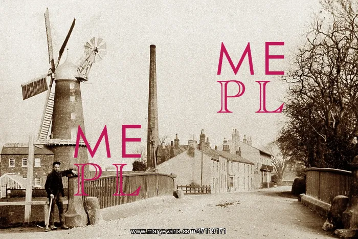  : Wainfleet Windmill, early 1900s