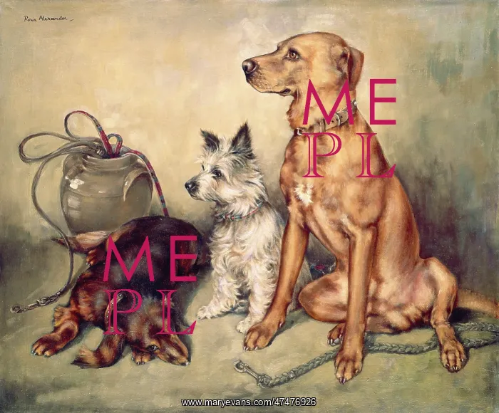 : Wait ' three dogs : Wait ' three dogs