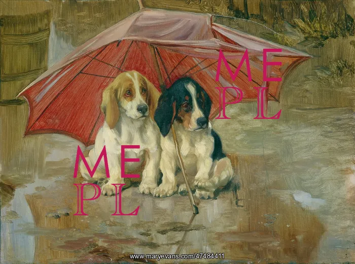 : Wait till the Clouds roll by – Two Dogs : Wait till the Clouds roll by – Two Dogs